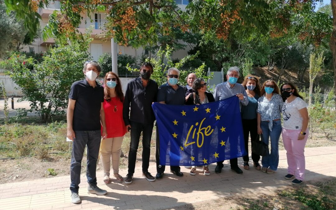 [:el]Ενημερωτική ημερίδα για τα τελικά στάδια υλοποίησης του πρότυπου χώρου αστικού πρασίνου στον Άγιο Θωμά Αμαρουσίου, στο πλαίσιο υλοποίησης του Ευρωπαϊκού προγράμματος LIFE GrΙn[:]