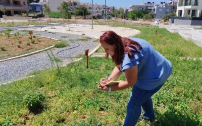 Boosting Urban Biodiversity: How Erythraia Park’s Native Plantings Enhance Ecosystem Health and Mitigate Urban Heat in Heraklion